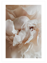 Sweetly - Poster Seti Duo